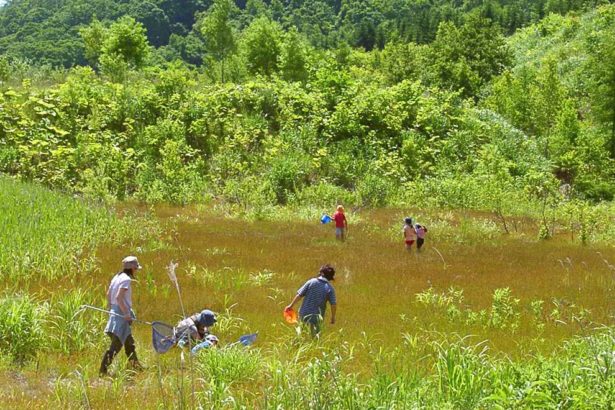 北海道土地故事01│下岛先生的14年奇迹，让硫酸山自然再生