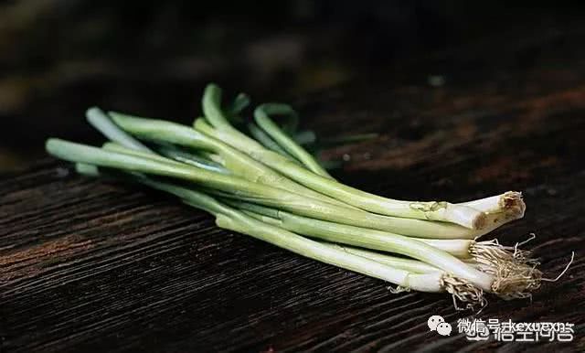 蔬菜种植风险大 分散种植 莫把鸡蛋放在同一个篮子里