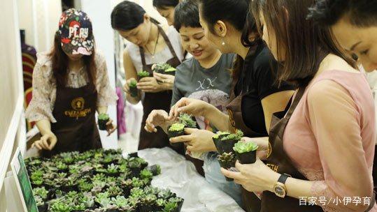 左手鲜花 右手肉植 伊丽莎白让你感受DIY多肉盆景的魅力