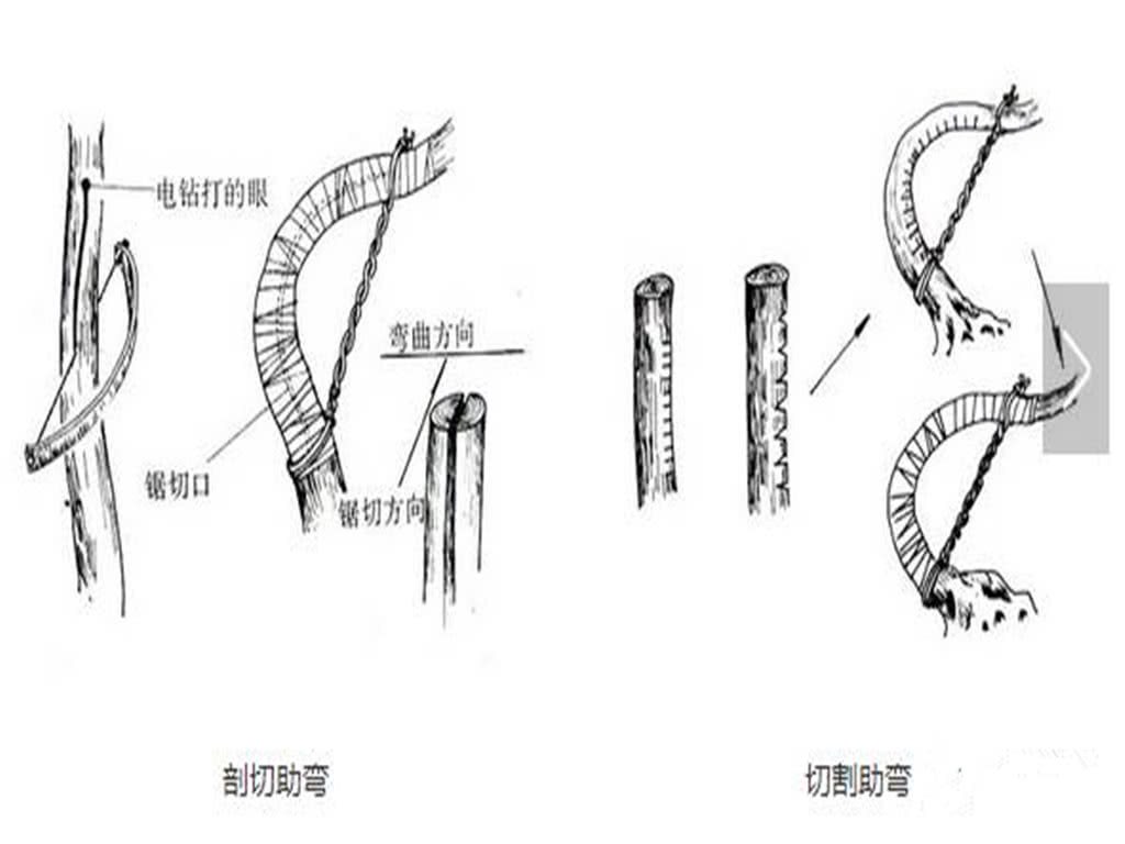 四张树桩整形傻瓜图 看完第一张图你就升级 看完第四张图你就秒变高手了