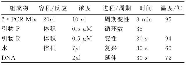 安陆金叶银杏特性初报