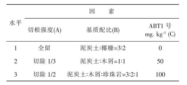 香樟轻型基质网袋育苗技术研究