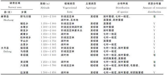 毕节地区野生重楼资源调查