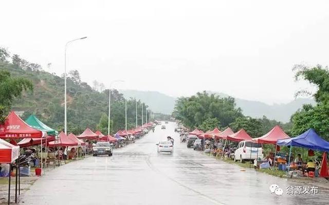 三华李迎来采摘高峰，丰收热销带旺第三产业