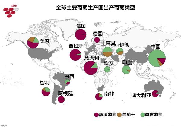 读图迅速了解全球葡萄种植分布