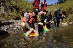 樱花钩吻鲑发现百年内政部助国宝鱼重返历史栖地