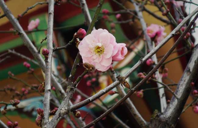 今年什么时候立春？
