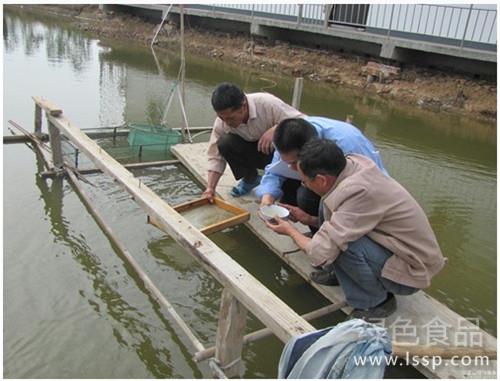 搞好青虾越冬增加效益青虾越冬及疾病防治要点