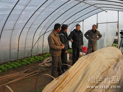本周将迎多寒潮最冷天雨雪天如何防蔬菜受冻