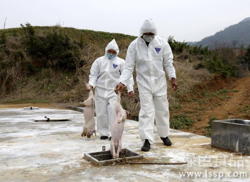 减少生态环境污染禽畜无害化处理方法