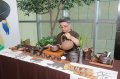 2018茶荟桃花源特展开幕桃园市长郑文灿：欢迎体验