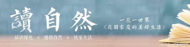 读自然｜任氏花园：细雨风味碧连天