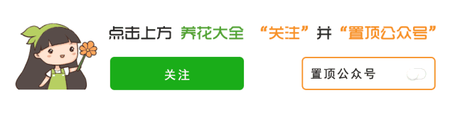 注意|进门最忌讳看到这个 赶紧摆盆花化解 早看早知道