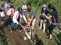 社区园圃×都市农村小旅行，观摩北投湖底社区的“田里学”