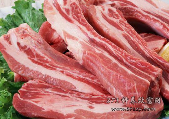 2017年猪肉价格行情分析,两大原因将影响猪肉价格走势