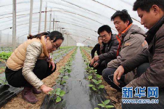 徐培培：助菜农脱贫致富的“菜仙子”