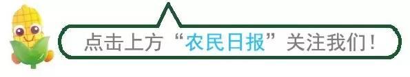 致富家庭农场主如何进行家庭理财？