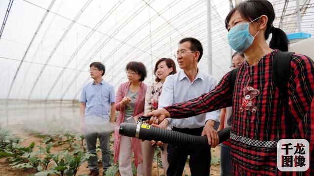 “傻瓜式”施药机5分钟喷完大棚