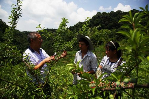 返乡创业山里娃带领村民走上致富之路