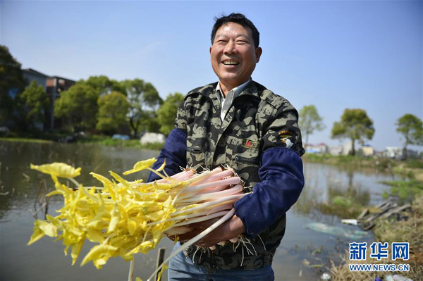 蔬菜“发明家”胡国华：泥土里刨出致富路