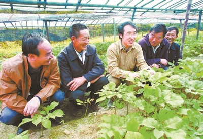 安徽农业大学用30年时间扎根大别山