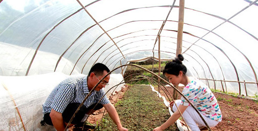 宜宾美女扎根农村带领村民共同致富