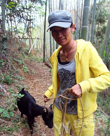 美女养殖野山羊打败野猪费思量