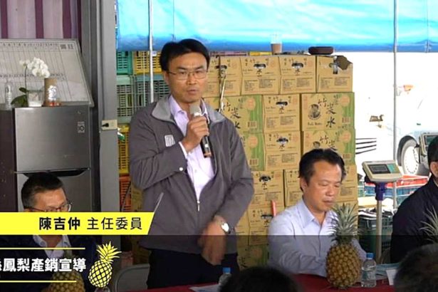 凤梨之乱》农民痛批，假消息害死好凤梨，农委会补助次级品凤梨每公斤8元加工