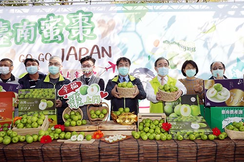 台南蜜枣持续外销日本突破去年总销量