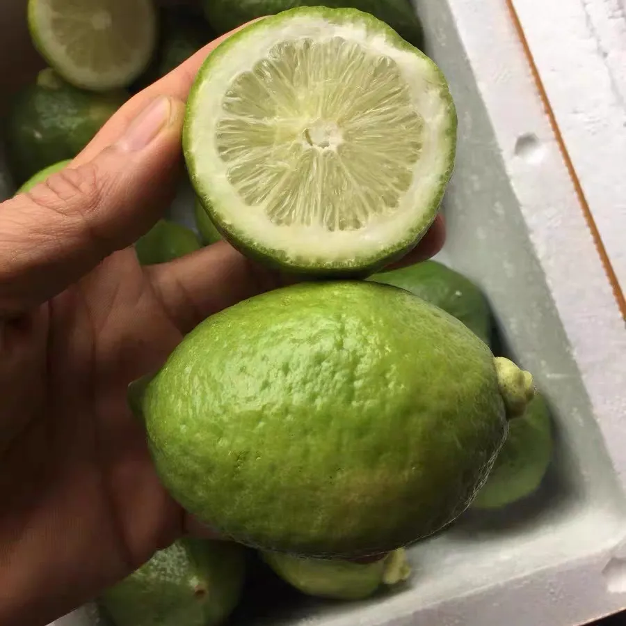 黄柠檬与香水柠檬一样吗 黄柠檬与香水柠檬有什么区别