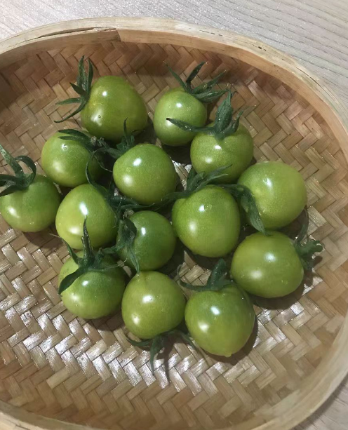 青甜2号是最甜的小番茄吗？青甜2号可以室内种植吗？