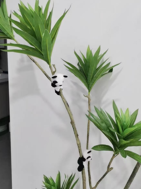 家里有娃有孕妈？这7种植物放心养，好看又安全！