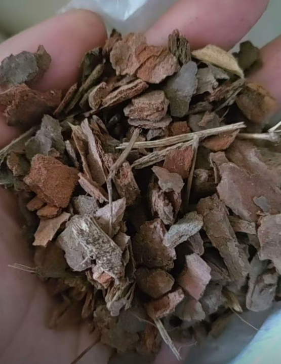 南方种蝴蝶兰，选这三种基质少走弯路！