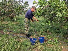 怎么检测土壤肥力不同质地土壤的肥力特征一样吗？施肥怎样合理化