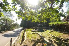 「森」呼吸 漫游八卦山茶香步道